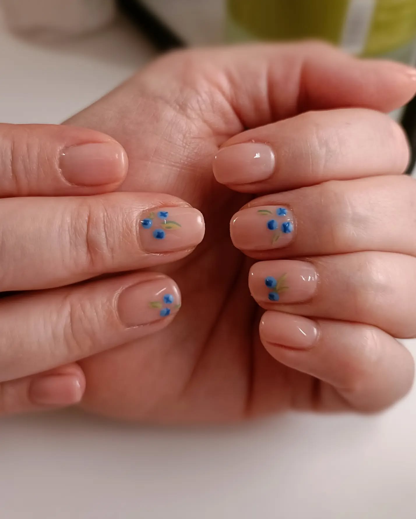 Blueberry Nail Art