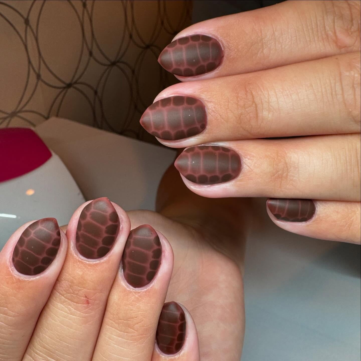 Chocolate Snake Nail Design