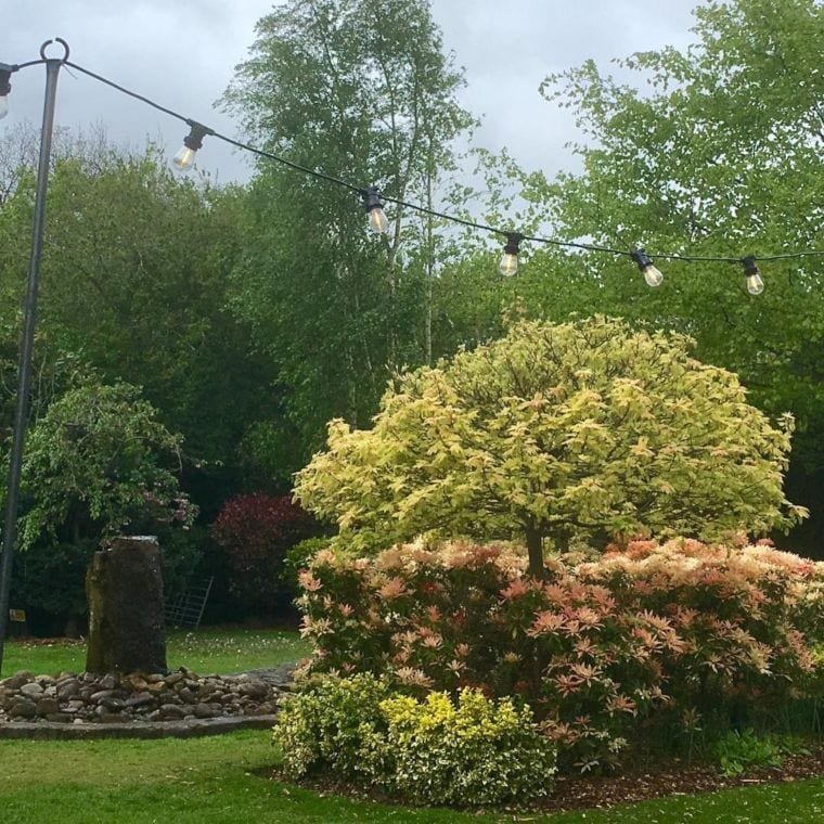 Garden Perimeter Festoon Lights
