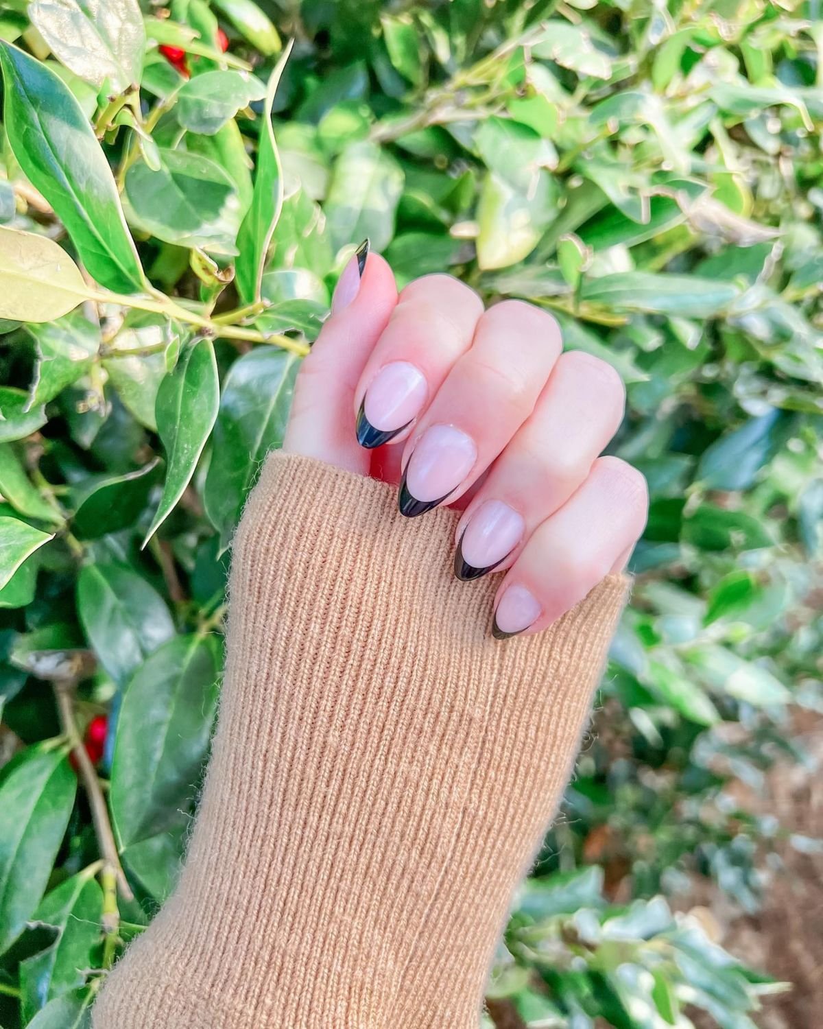 Pink and Black French Manicure