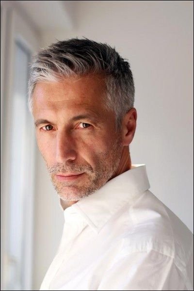 Polished Silver Hairstyles
