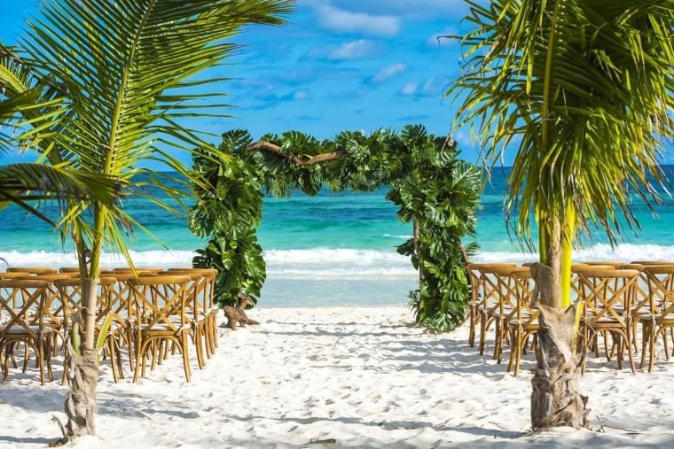 Beach-Themed Palm Arch