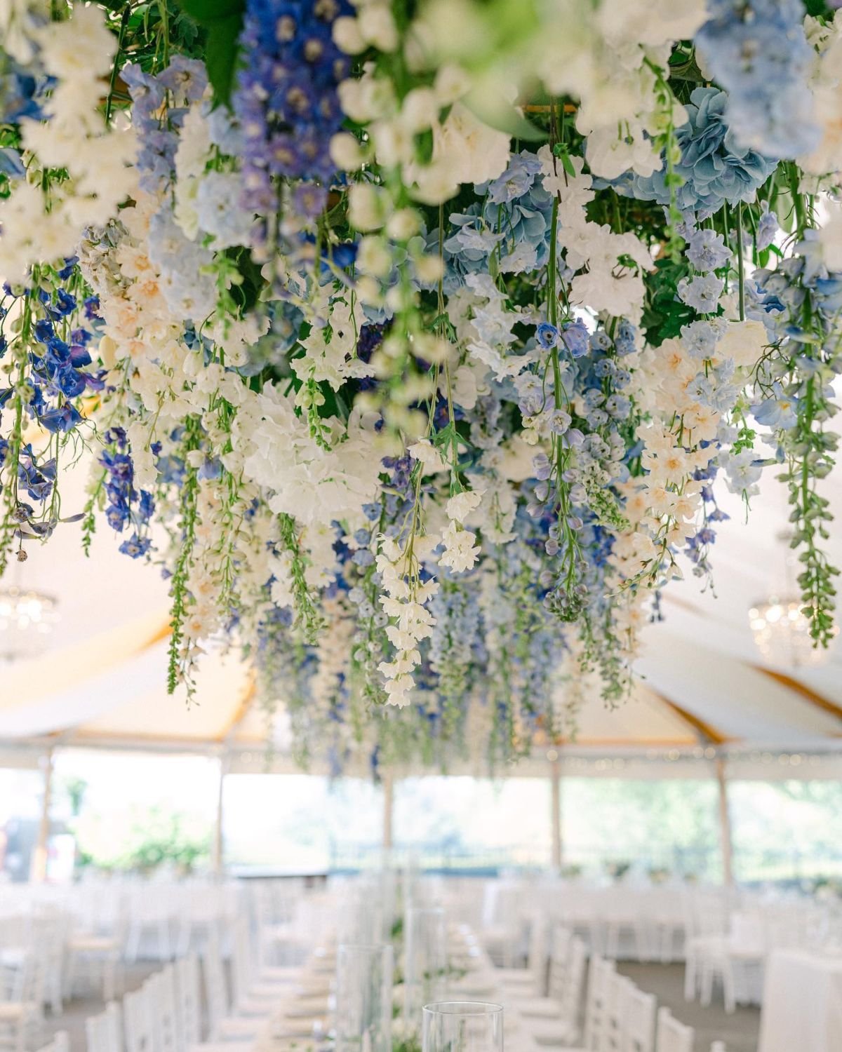 Blue and White Floral Display