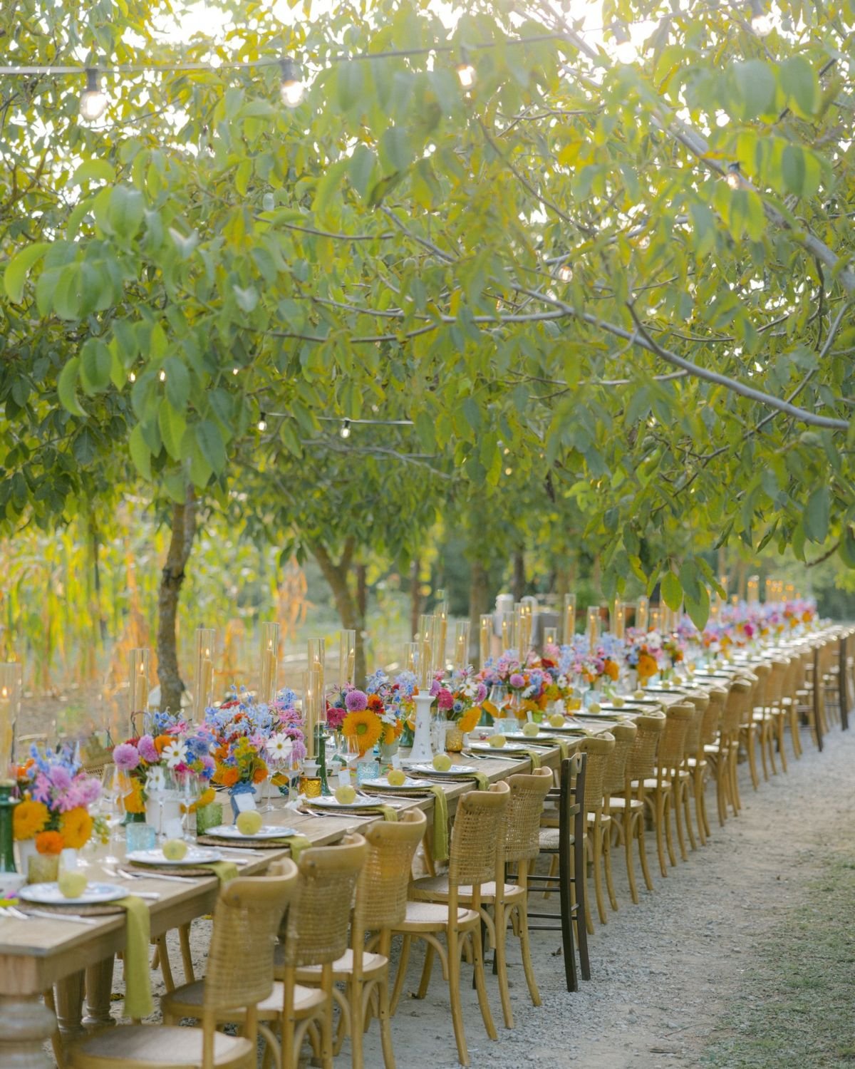Colorful Seasonal Flower Arrangements
