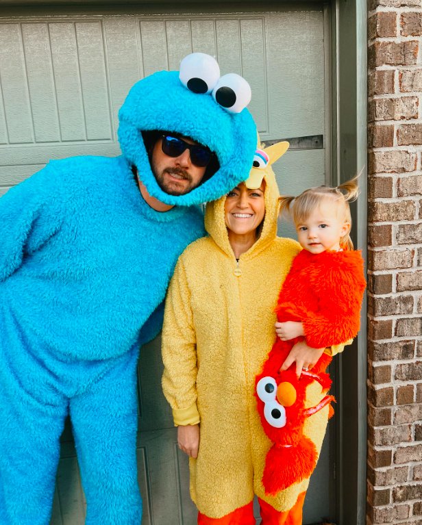 Cookie Monster, Big Bird, and Elmo Family Costumes