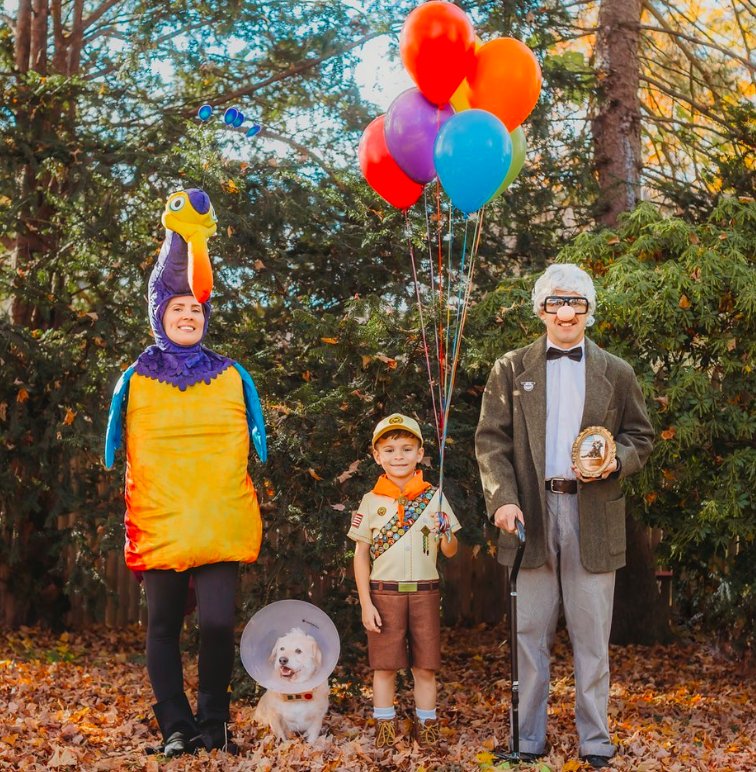 Disney UP Family Costumes
