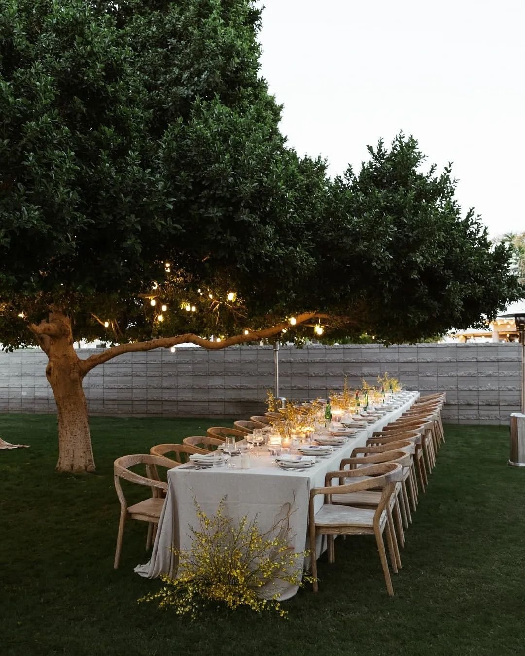 Elegant Micro Wedding Table
