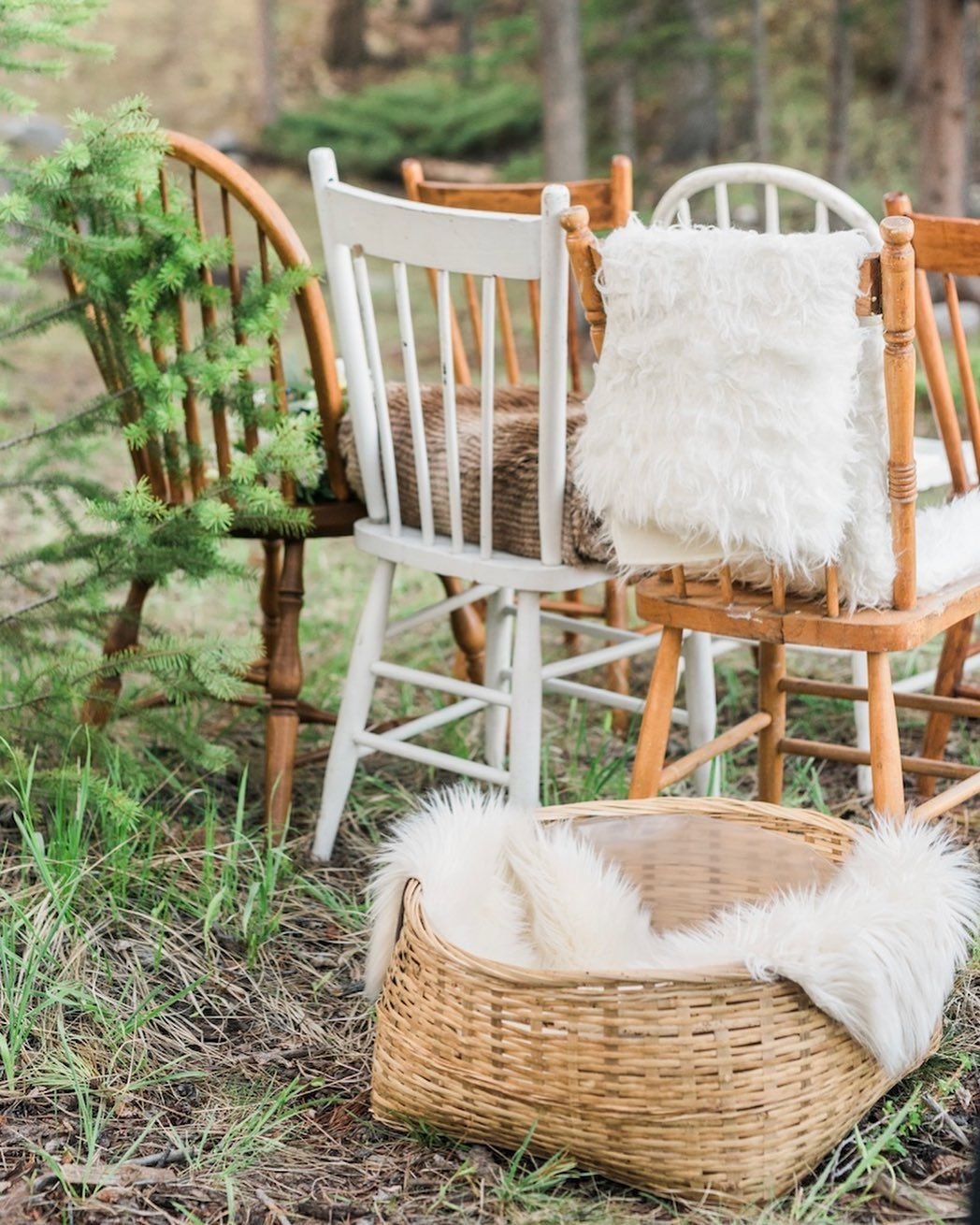 Farmhouse Chair Seating