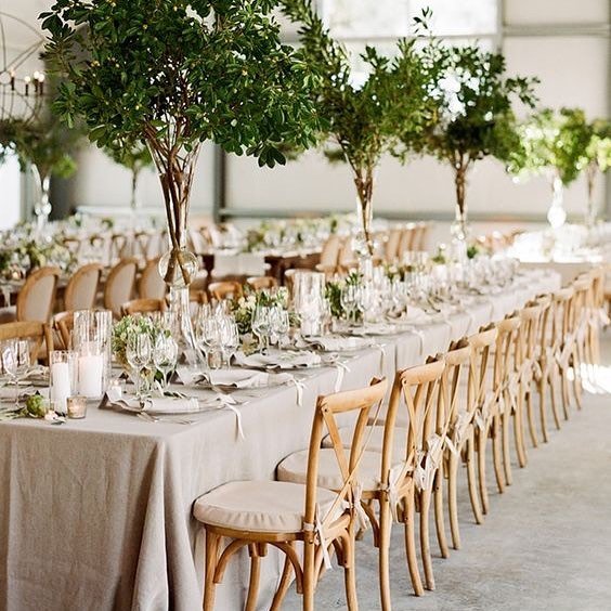 Indoor Tree Centerpieces
