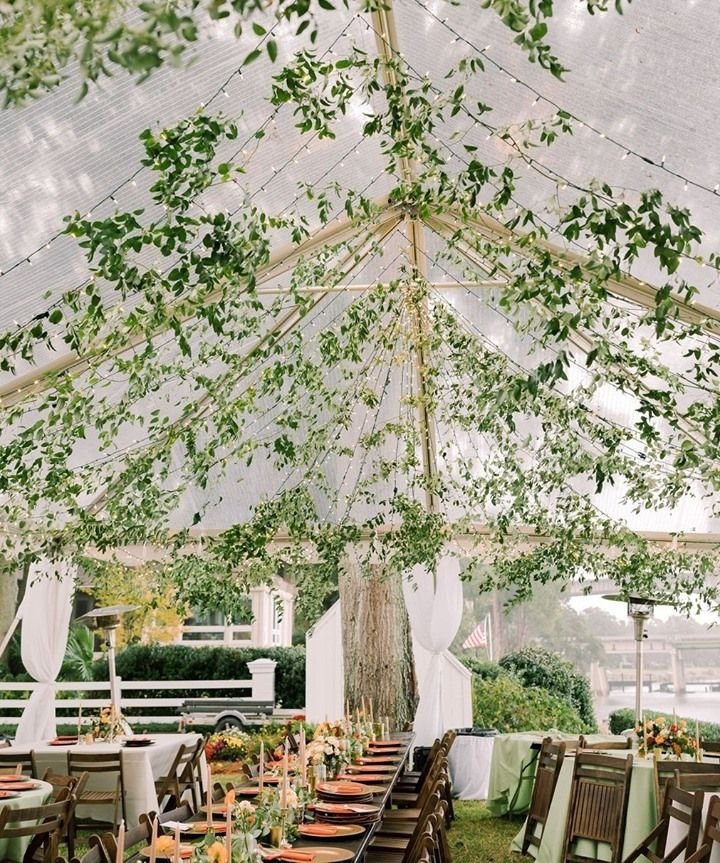 Ivy and Coral Decor