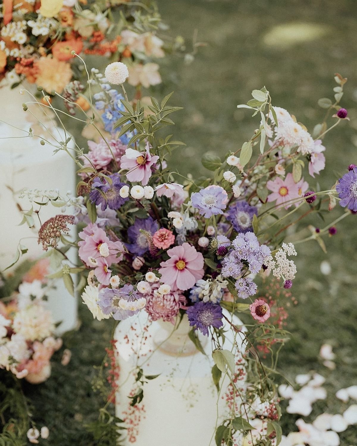 Lavender Flower Displays