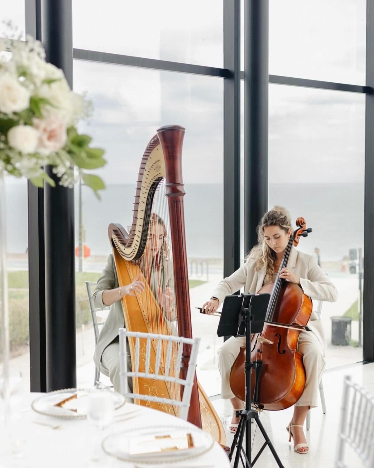 Live Classical Music Duet
