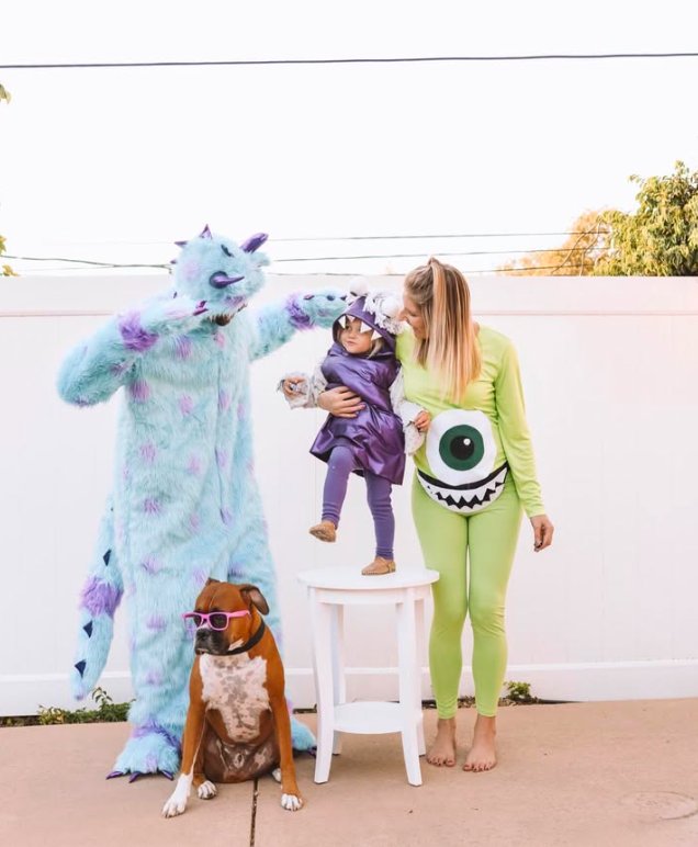 Monsters Inc Family Costumes