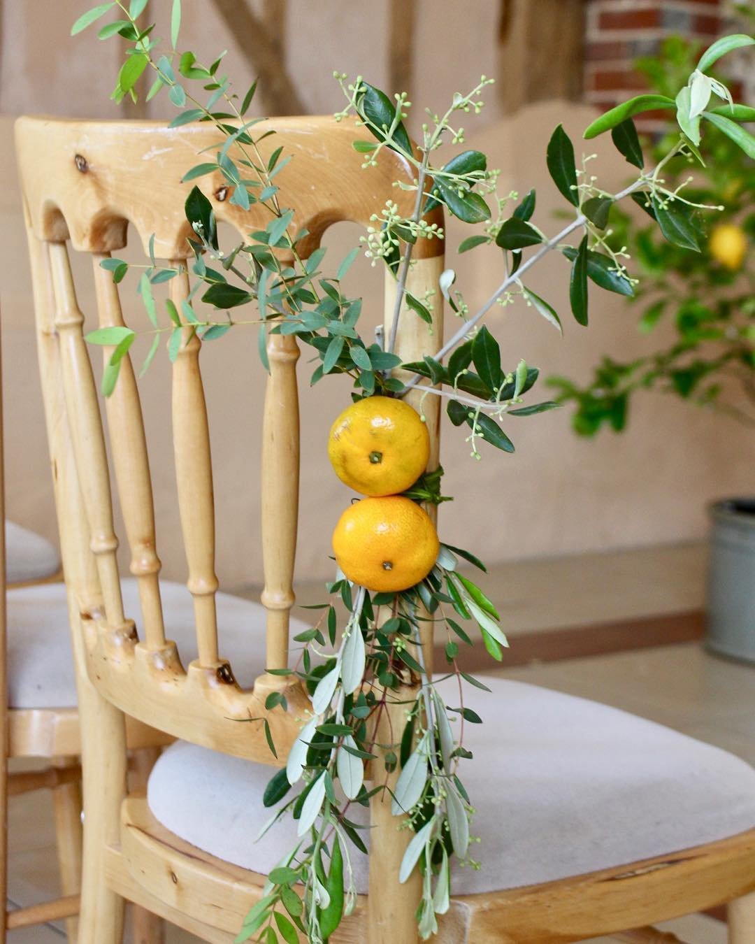 Olive Tree Chair Accents