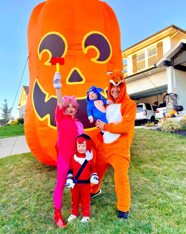 Sonic Video Game Character Costumes