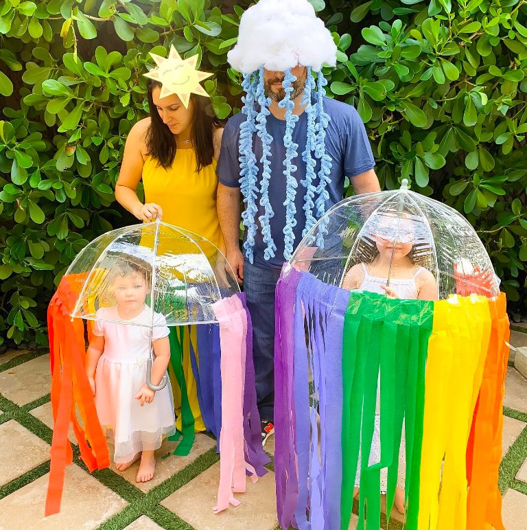 Weather Family Costumes