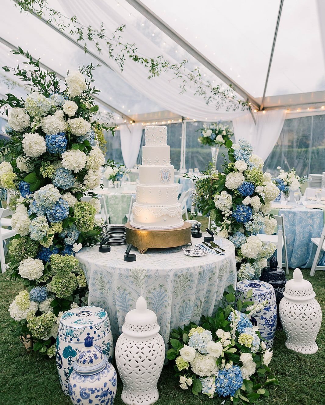 White and Blue Hydrangeas