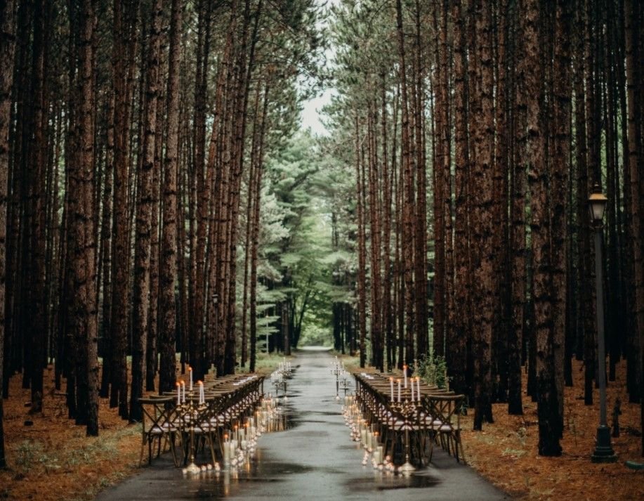 Woodland Ceremony Setup