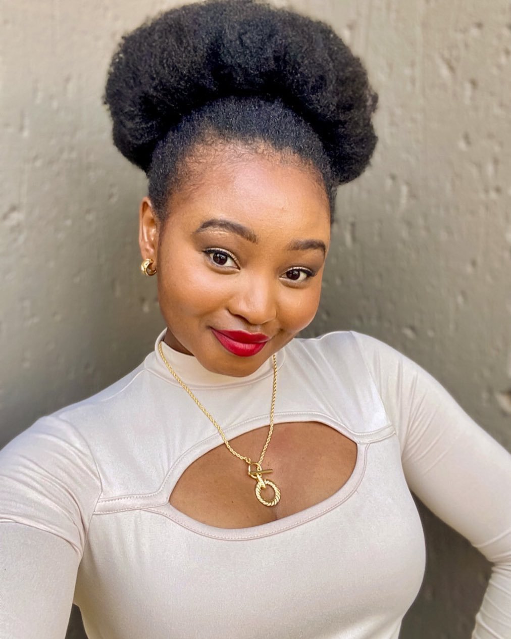 Loose Pineapple Updo