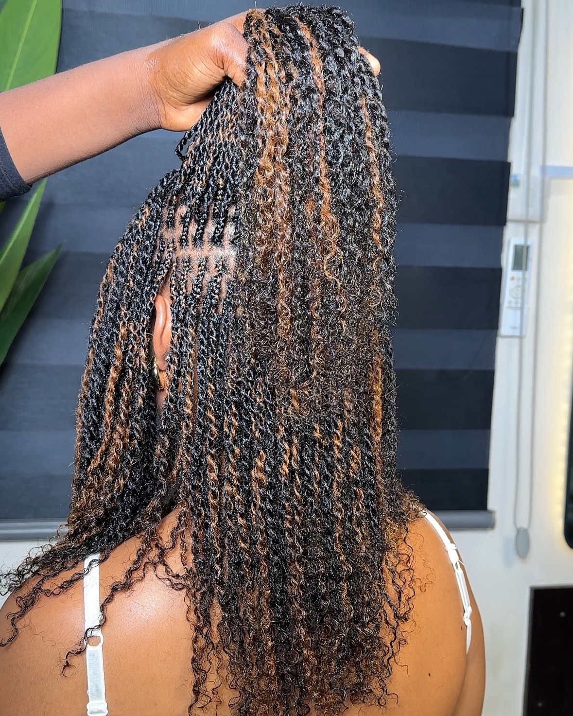 Multicolor Mini Twists