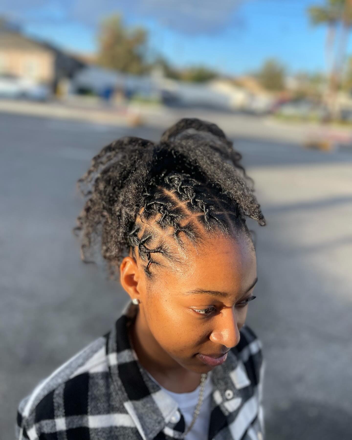 Stitch Braid Pineapple