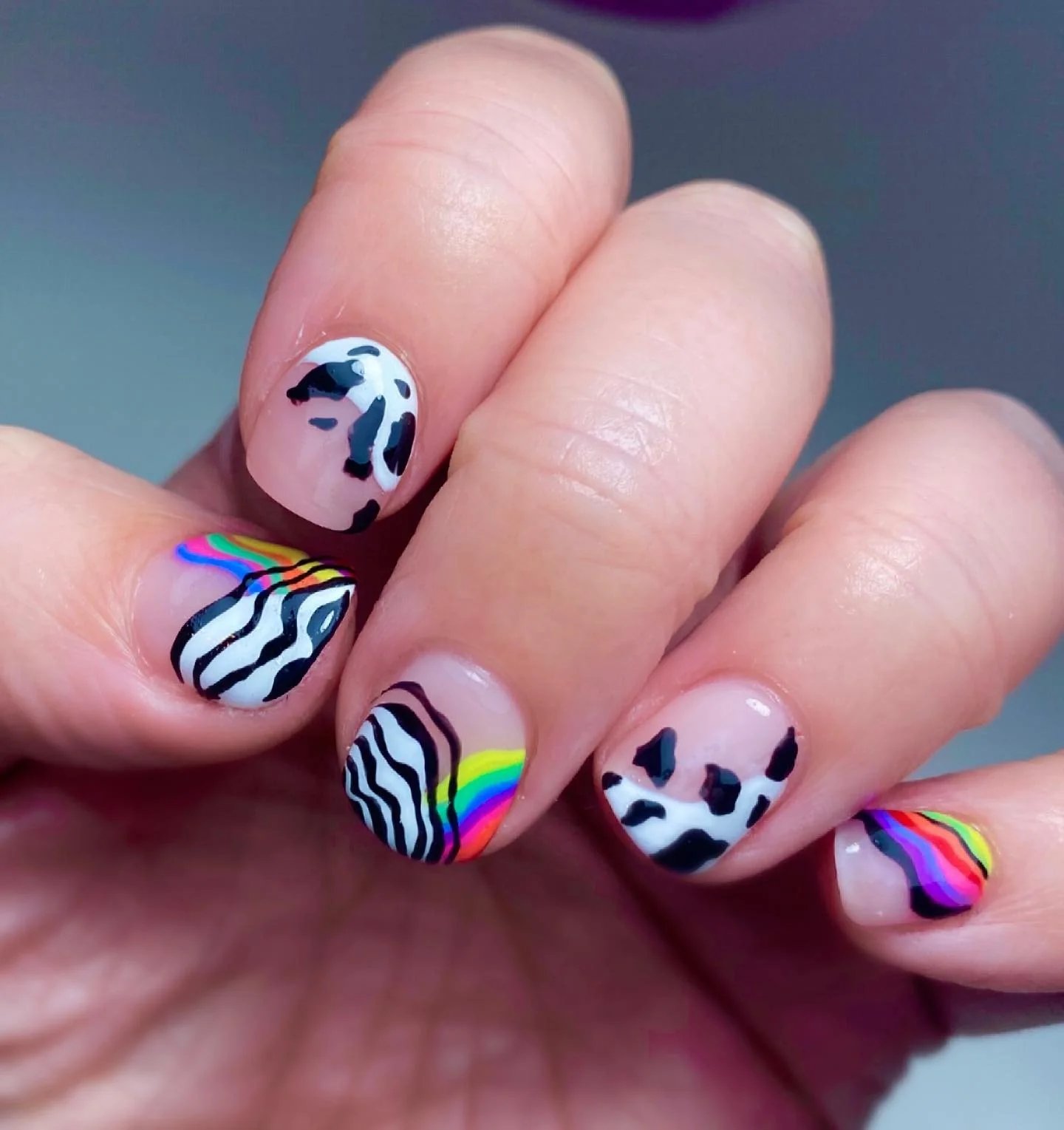 Animal Print Rainbows