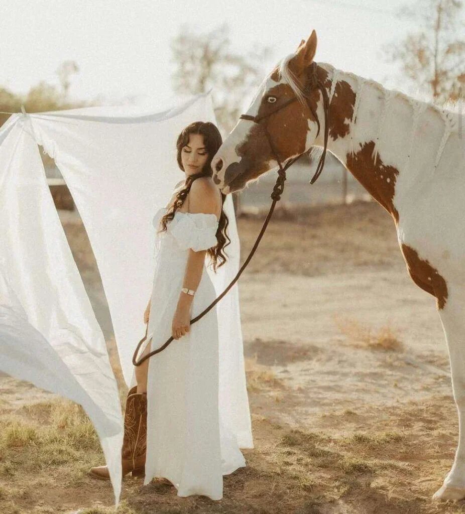 White Dress, Horse