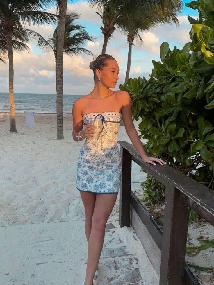 Blue toile corset dress