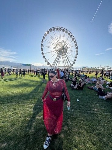 Crimson Mesh Dress