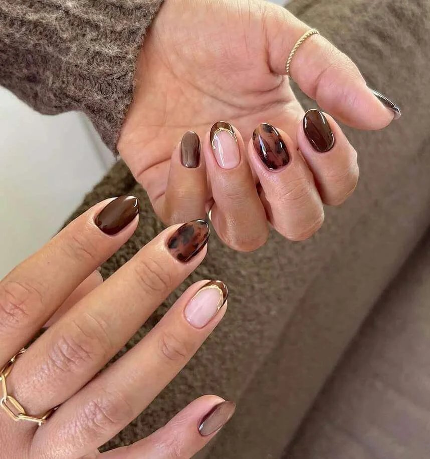 Tortoiseshell accents