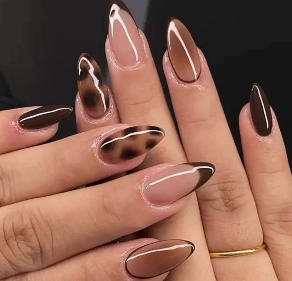 Brown French and Tortoise Shell